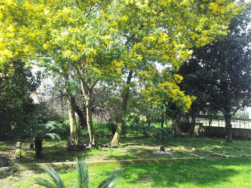 Casa Vacanze Antica Capua Санта-Марія-Капуа-Ветере Екстер'єр фото